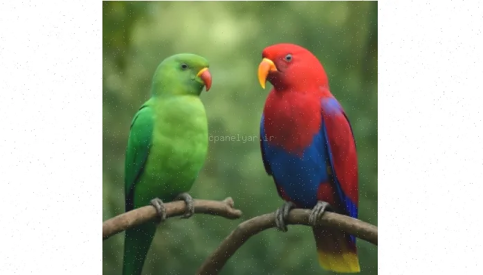 نگهداری و تولید مثل طوطی سبز شاه