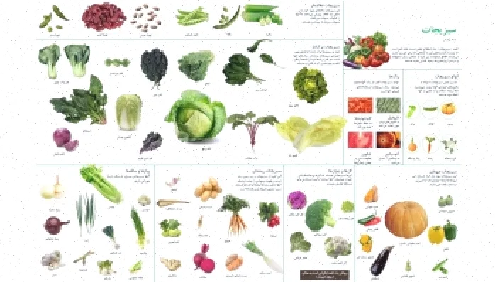 پوستر آموزشی علوم سبزیجات رایگان دانلود