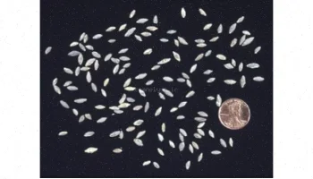 پاورپوینت فرامینفرهای پالئوزوئیک: راهنمای جامع