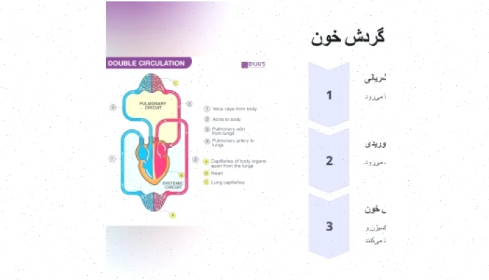 پاورپوینت قلب: دانلود رایگان و کامل