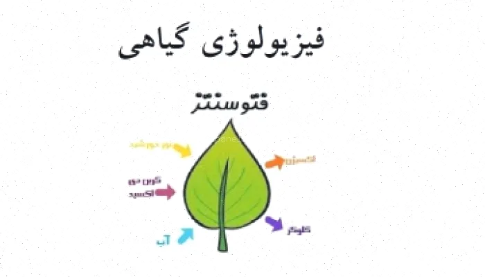 جزوه فتوسنتز انورخواه pdf دانلود رایگان