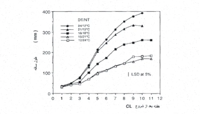 مورفوژنی حرارتی و عکس‌برداری در گیاهان زینتی