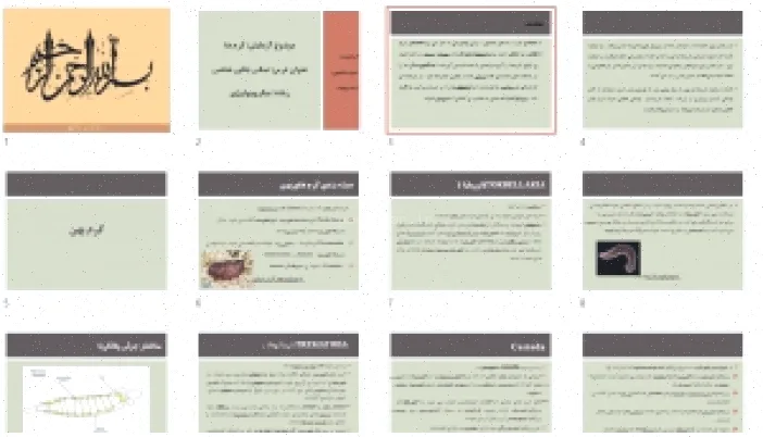 پاورپوینت مبانی کرم‌های جانورشناسی