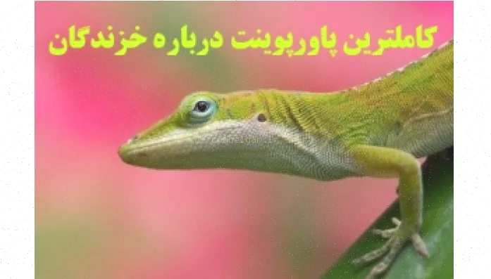 پاورپوینت کامل زندگی خزندگان - 61 اسلاید