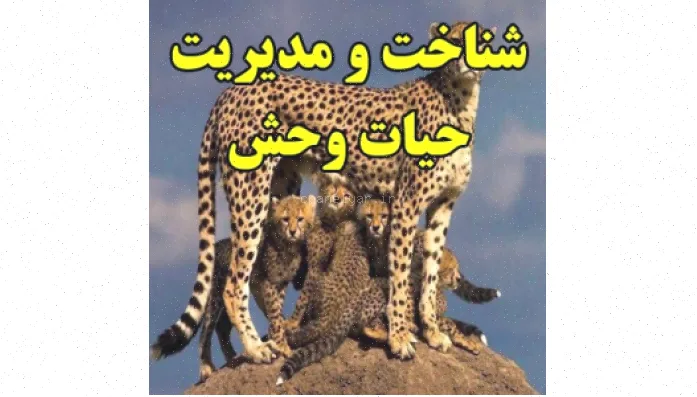 شناخت و مدیریت حیات وحش بهینه