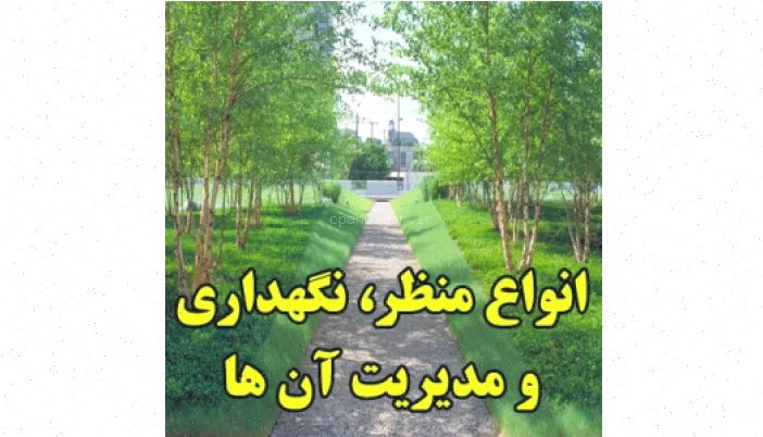 انواع منظر: نگهداری و مدیریت حرفه‌ای