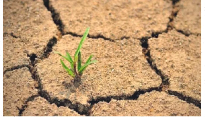 پاورپوینت: نقش انسان در بیابان‌زایی