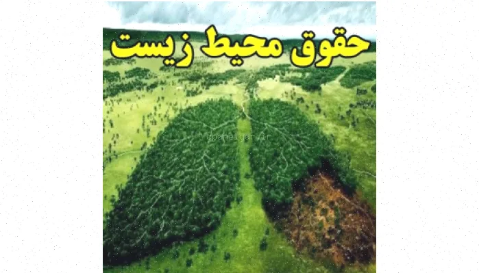 حقوق محیط زیست: راهنمای جامع و کامل