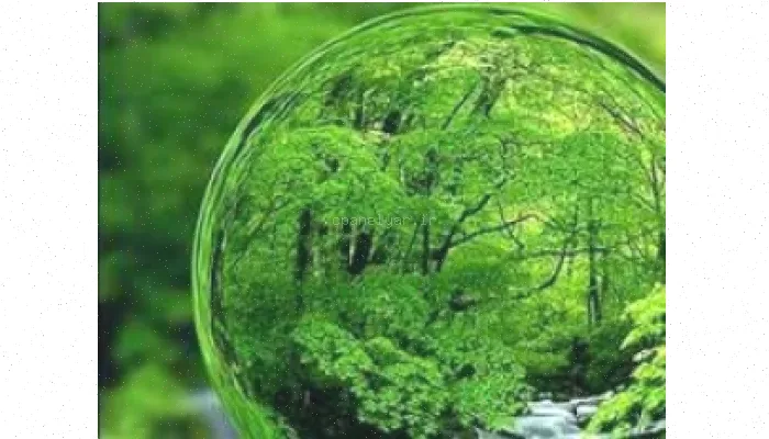 تحقیق طبیعت و محیط زیست جامع