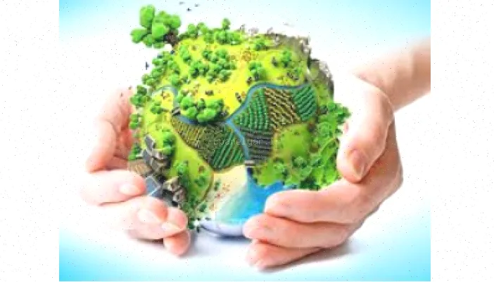 شوينده‌ها و تاثیرشان بر محیط زیست